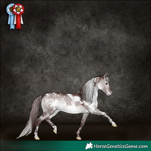 Horse Color:Platinum White Spotted Chocolate Brown Dun 