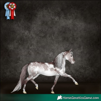 Horse Color:Platinum White Spotted Chocolate Brown Dun 