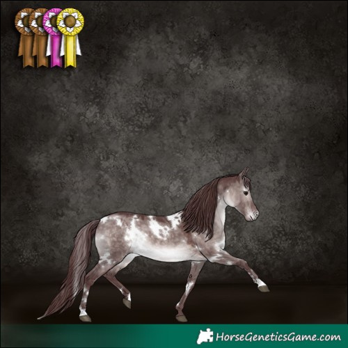 Horse Color:Platinum White Spotted Chocolate Brown Dun 