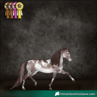 Horse Color:Platinum White Spotted Chocolate Brown Dun 