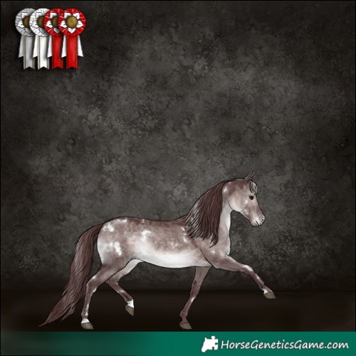 Horse Color:Platinum White Spotted Chocolate Brown Dun 