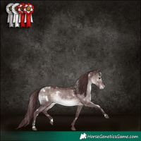 Horse Color:Platinum White Spotted Chocolate Brown Dun
