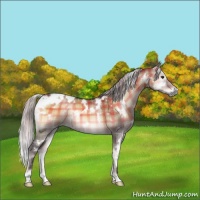 Horse Color:Plaid  White Spotted Silver Brown Onyx 
