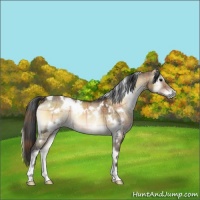Horse Color:Plaid  White Spotted Brown Onyx 