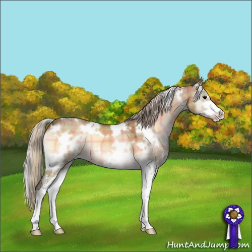 Horse Color:Plaid  White Spotted Silver Brown Onyx Sabino 