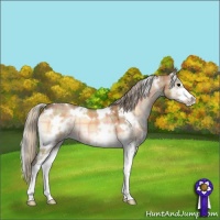 Horse Color:Plaid  White Spotted Silver Brown Onyx Sabino 