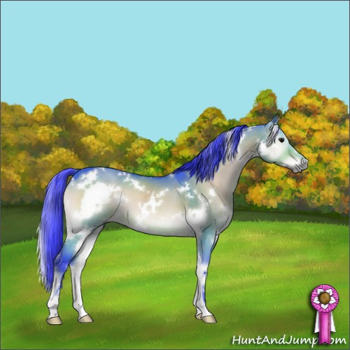 Horse Color:Watercolor White Spotted Brown Onyx 