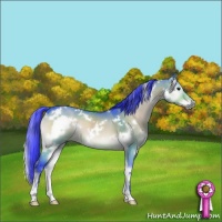 Horse Color:Watercolor White Spotted Brown Onyx 