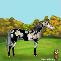 Horse Color:Plaid  White Spotted Brown Onyx 