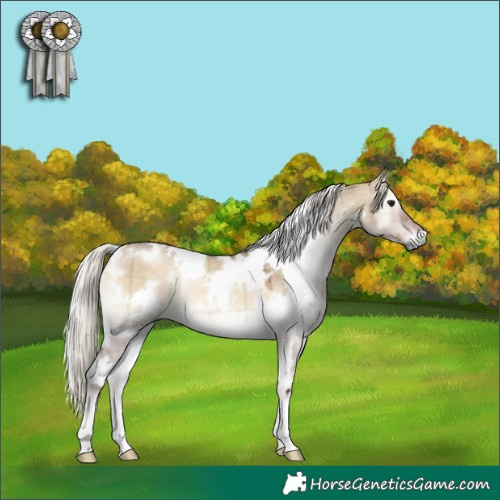 Horse Color:Plaid White Spotted Silver Bay Onyx