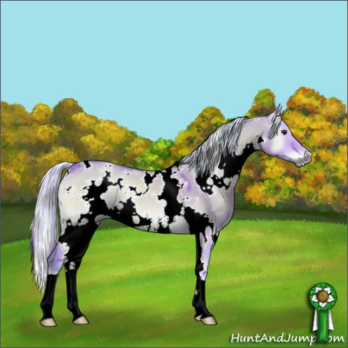 Horse Color:Watercolor White Spotted Silver Bay Onyx 