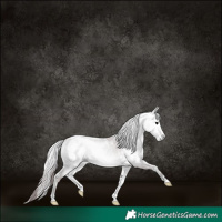 Horse Color:Gray Platinum White Spotted Chocolate Brown Onyx 