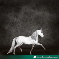 Horse Color:Gray Platinum White Spotted Chocolate Brown Dun 