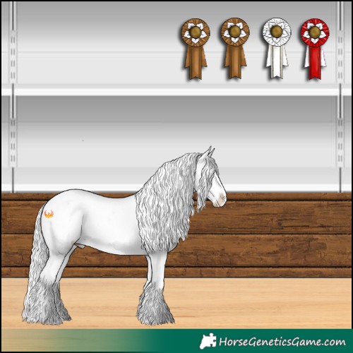 Horse Color:Platinum Silver Brown Splash Varnish 
