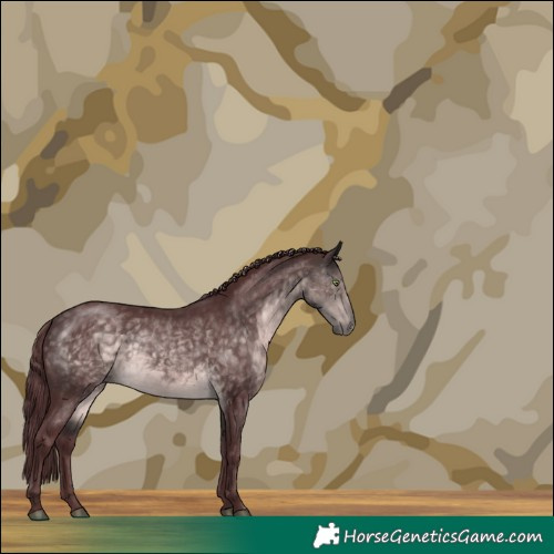 Horse Color:Platinum Chocolate Buckskin 