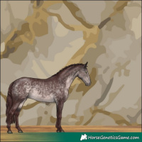 Horse Color:Platinum Chocolate Buckskin 