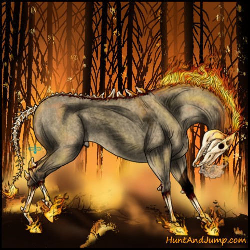 Horse Color:Void Buckskin Roan Dun 