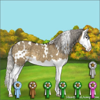 Horse Color:White Spotted Silver Smoky Grullo Mushroom Sabino Splash 