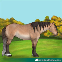 Horse Color:Bay Dun Brindle 