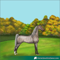 Horse Color:Silver Brown Roan Dun Rabicano 