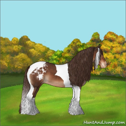 Horse Color:Liver Chestnut Tobiano Appaloosa 