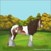 Horse Color:Liver Chestnut Tobiano Blanket 