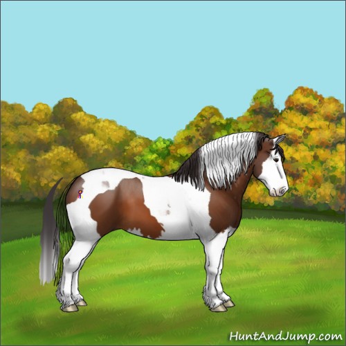 Horse Color:Buckskin Sabino Splash Tobiano 