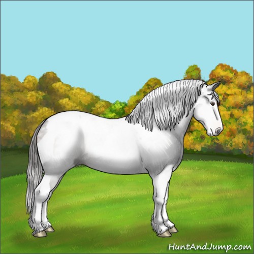 Horse Color:Gray Liver Chestnut Tobiano