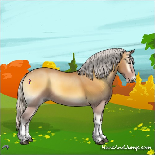Horse Color:Silver Buckskin Onyx Tobiano 