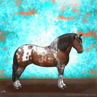 Horse Color:Buckskin Tobiano Blanket 