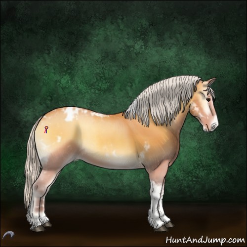 Horse Color:Silver Buckskin Onyx Tobiano Appaloosa 