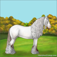 Horse Color:Red Dun Tobiano Appaloosa Rabicano 