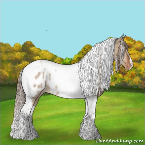 Horse Color:Liver Red Dun Tobiano Appaloosa Rabicano 