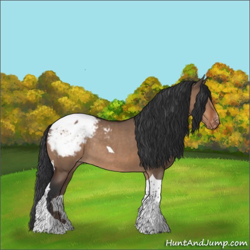 Horse Color:Bay Dun Tobiano Appaloosa Rabicano