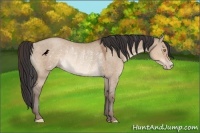 Horse Color:Sable Champagne Dun Rabicano 