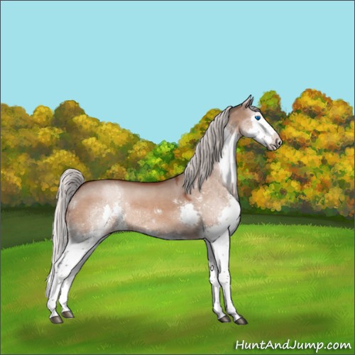 Horse Color:Silver Brown Dun Splash Rabicano 