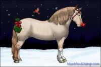 Horse Color:Red Dun Rabicano 