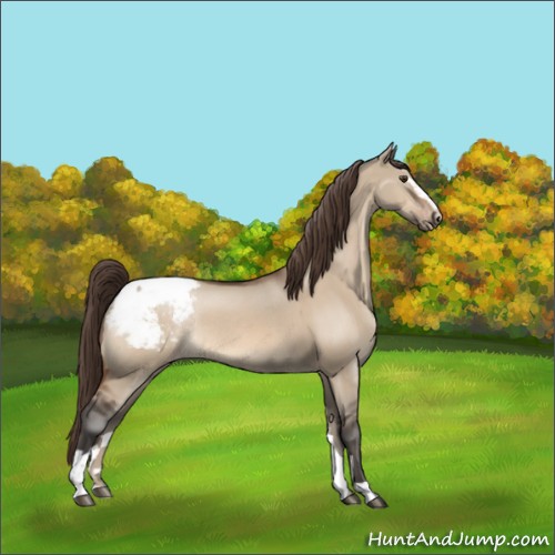 Horse Color:Brown Dun Sabino Appaloosa Rabicano