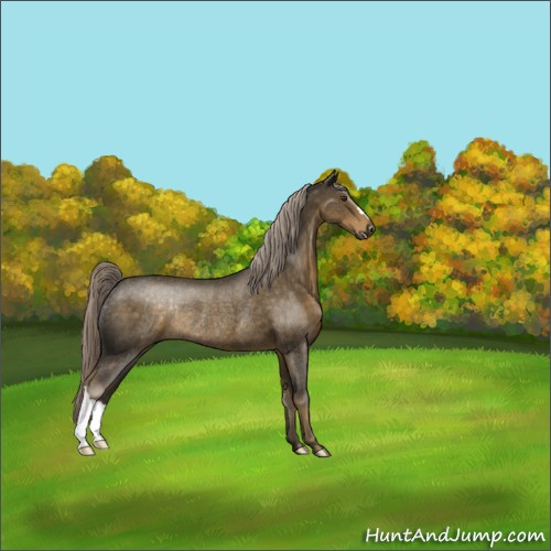Horse Color:Chocolate Palomino Rabicano
