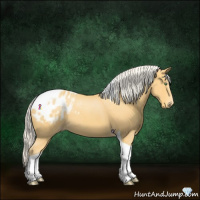 Horse Color:Silver Amber Cream Champagne Roan Tobiano Appaloosa 