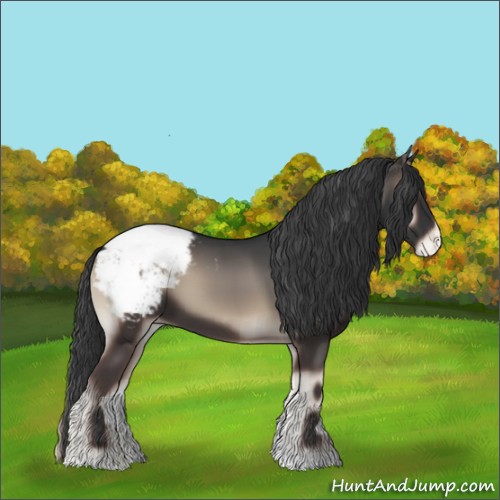 Horse Color:Blue Onyx Appaloosa 
