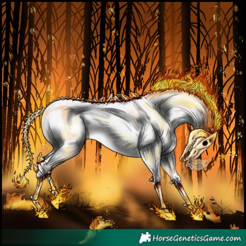 Horse Color:Chocolate Silver Bay Roan Onyx Appaloosa Rabicano