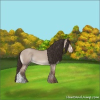 Horse Color:Classic Champagne Dun 