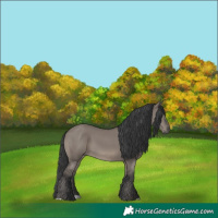 Horse Color:Grullo 