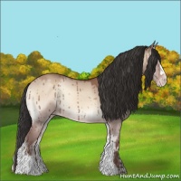 Horse Color:Sable Champagne Onyx Brindle 