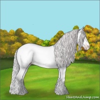Horse Color:Chocolate Silver Sable Champagne Chinchilla Onyx Sabino Rabicano