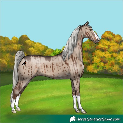 Horse Color:Liver Red Dun Mushroom Brindle