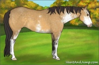 Horse Color:Buckskin Dun Sabino 