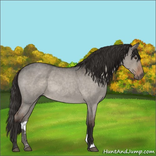 Horse Color:Liver Red Dun Roan 