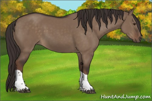 Horse Color:Liver Red Dun Tobiano 